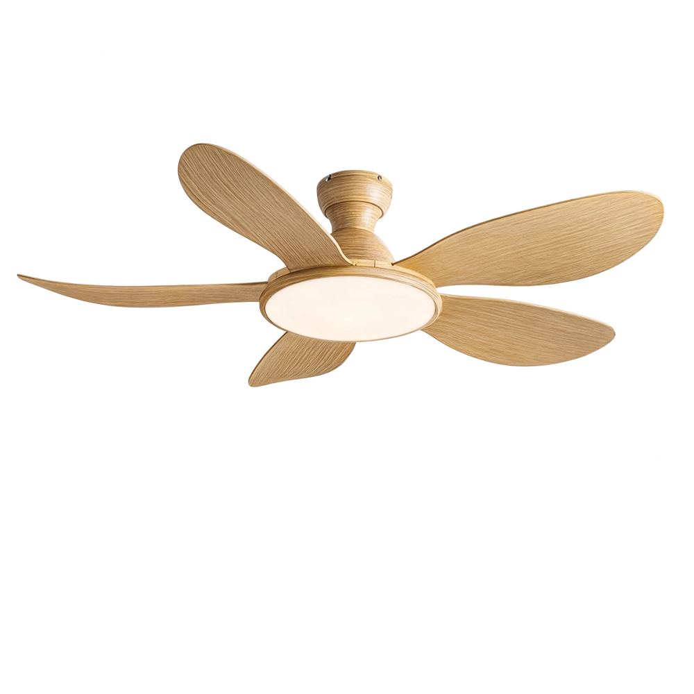 Ventilateur de plafond Bora, vue produit sur fond blanc