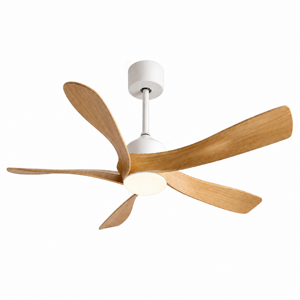 Ventilateur de plafond Éole silencieux, vue en situation