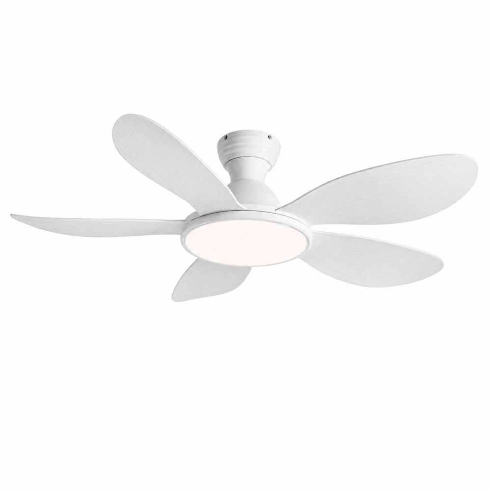 Ventilateur de plafond Bora, rendu design