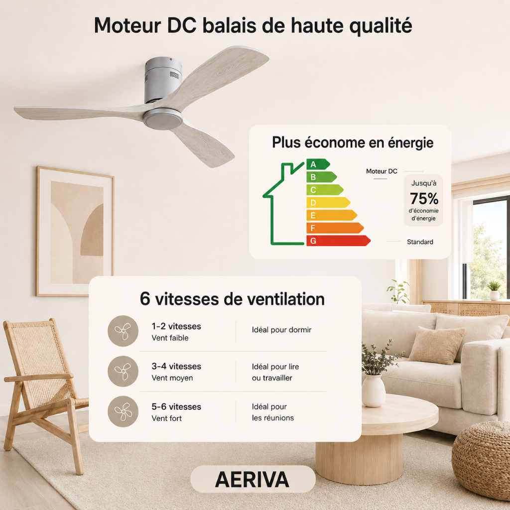 Ventilateur de Plafond Design Contemporain & Fluide - Modèle Calan
