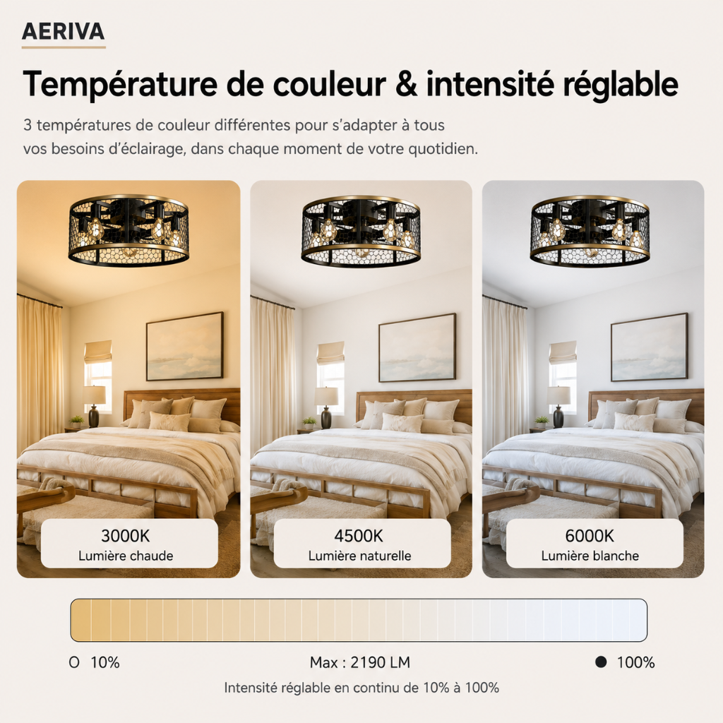 Ventilateur de Plafond Design Vintage & Cage Lumineuse - Modèle Mango