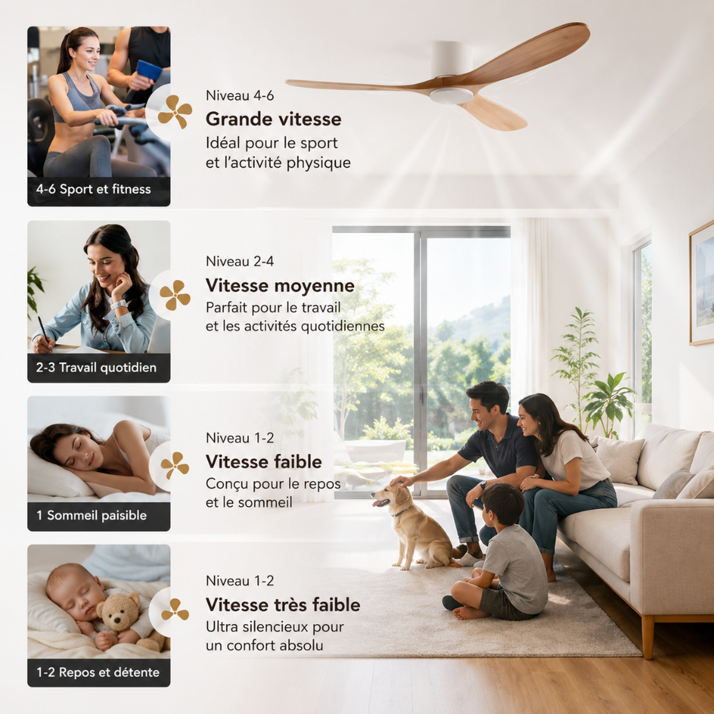 Ventilateur de plafond Vida bois sombre, ambiance intérieure