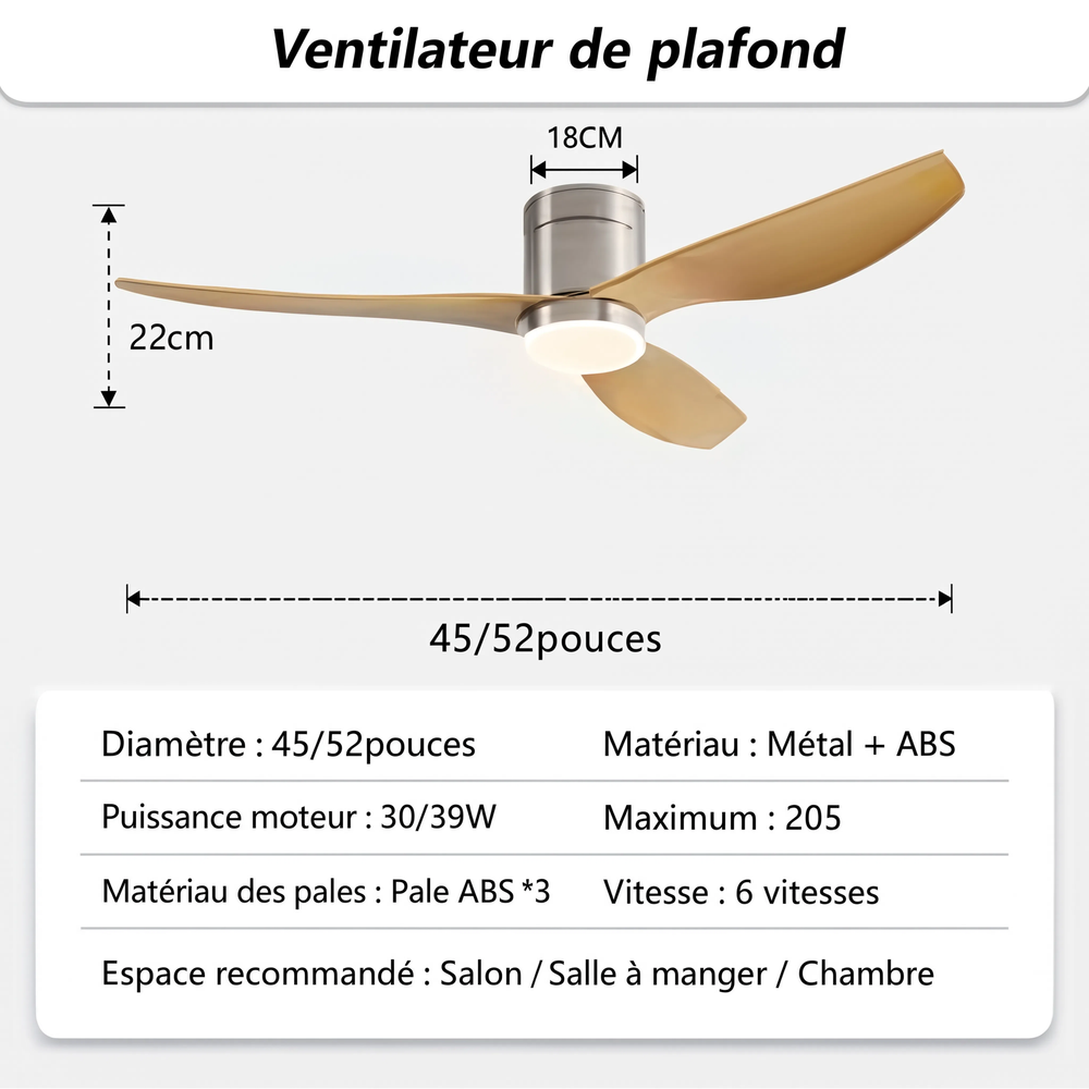 Fiche technique complète — Ventilateur de plafond Syracus