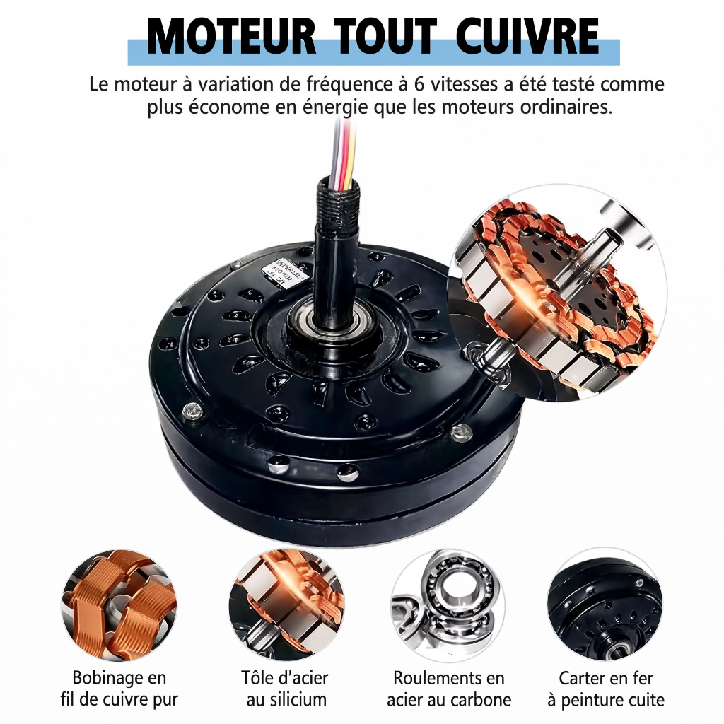 Ventilateur de Plafond Design en Bois Clair avec LED - Modèle Bora