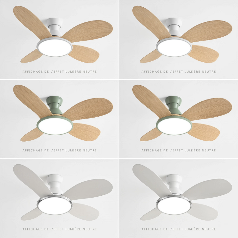 Planche de 6 ventilateurs de plafond — gamme Aeriva incluant Bora