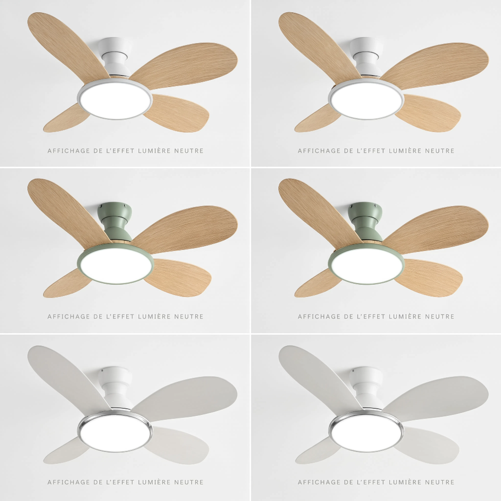 Ventilateur de Plafond Design en Bois Clair avec LED - Modèle Bora