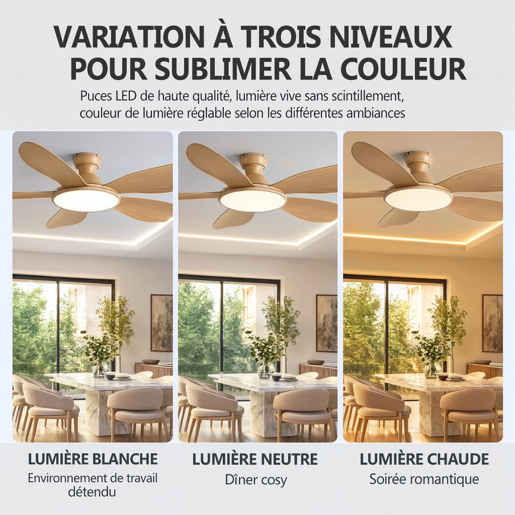 Ventilateur de Plafond Design en Bois Clair avec LED - Modèle Bora