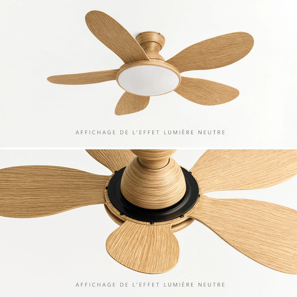 Ventilateur de plafond Bora bois clair, vue produit carrée