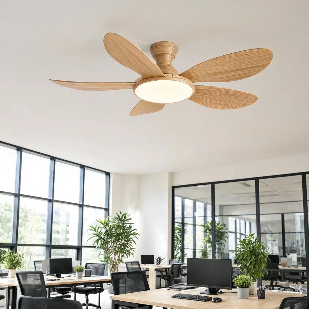 Ventilateur de plafond Bora bois clair LED, en bureau