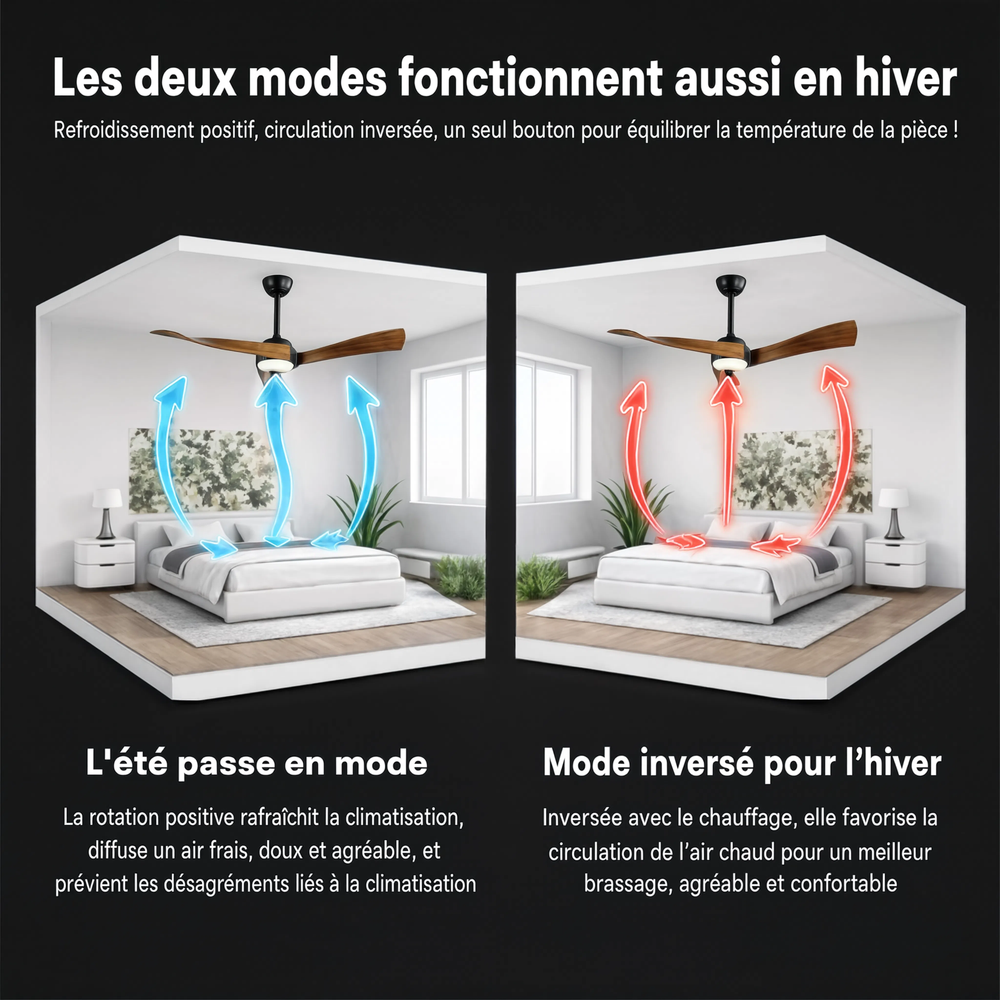 Modes été/hiver — Ventilateur de plafond Cygne