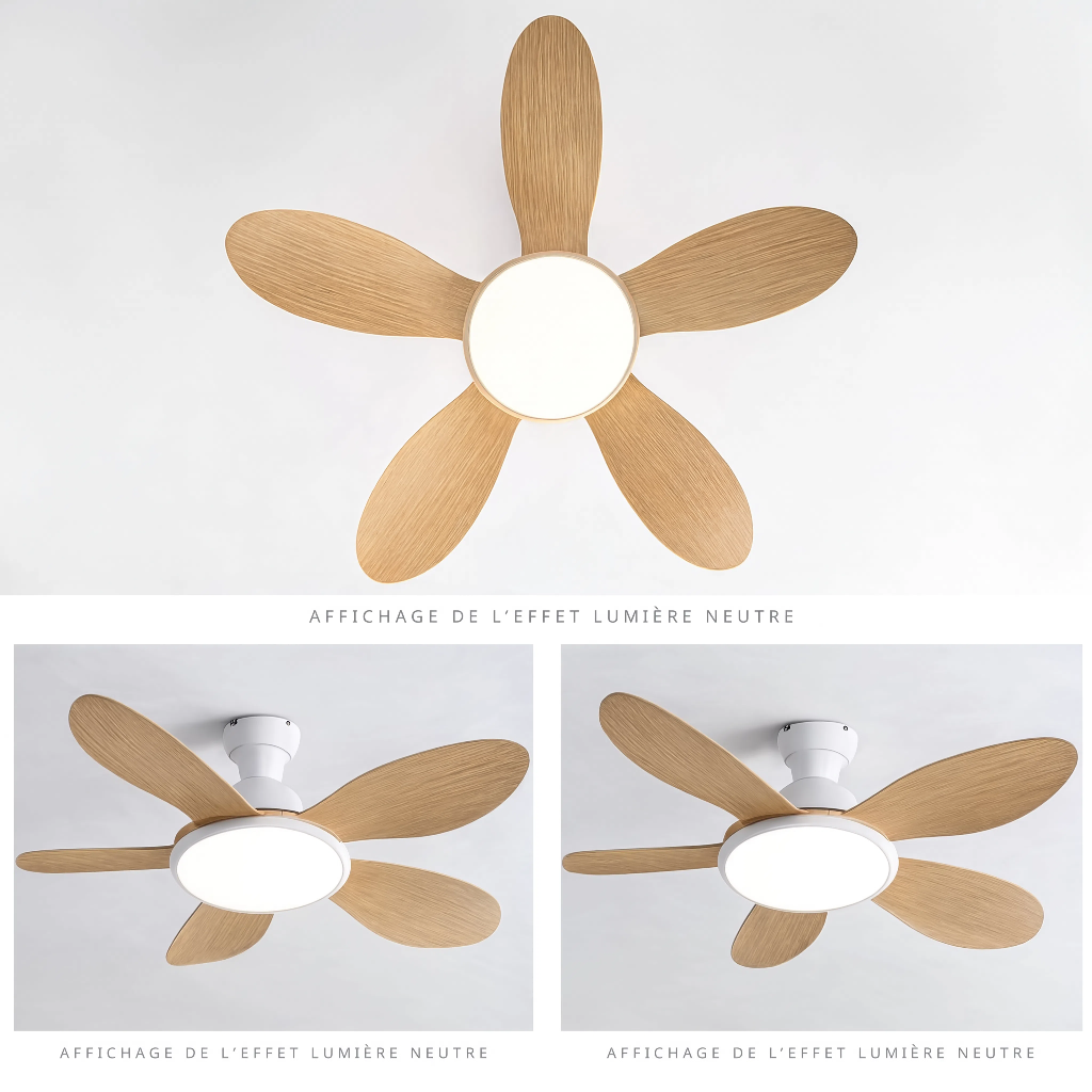 Ventilateur de Plafond Design en Bois Clair avec LED - Modèle Bora