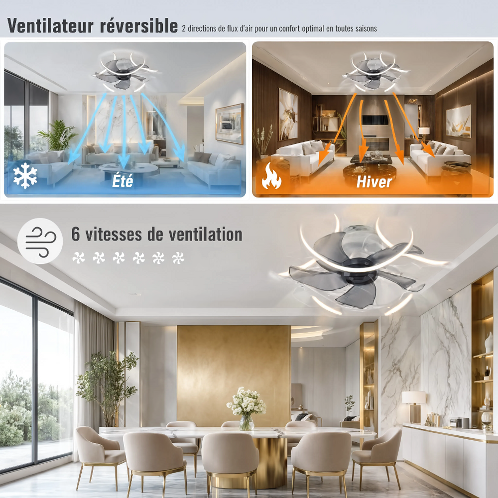Mode réversible premium — Ventilateur de plafond Harmattan