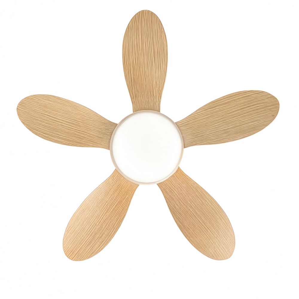Ventilateur de plafond Bora, vue produit sur fond blanc